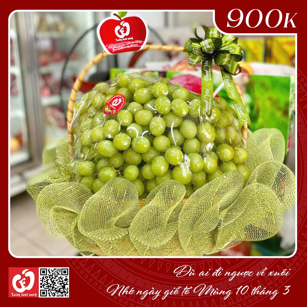 TC54 - Giỏ quà hoa quả nhập khẩu