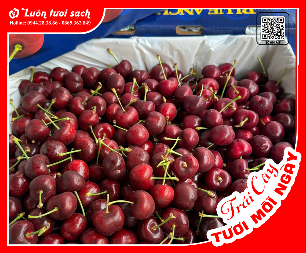 Cherry đỏ Mỹ size 9.5