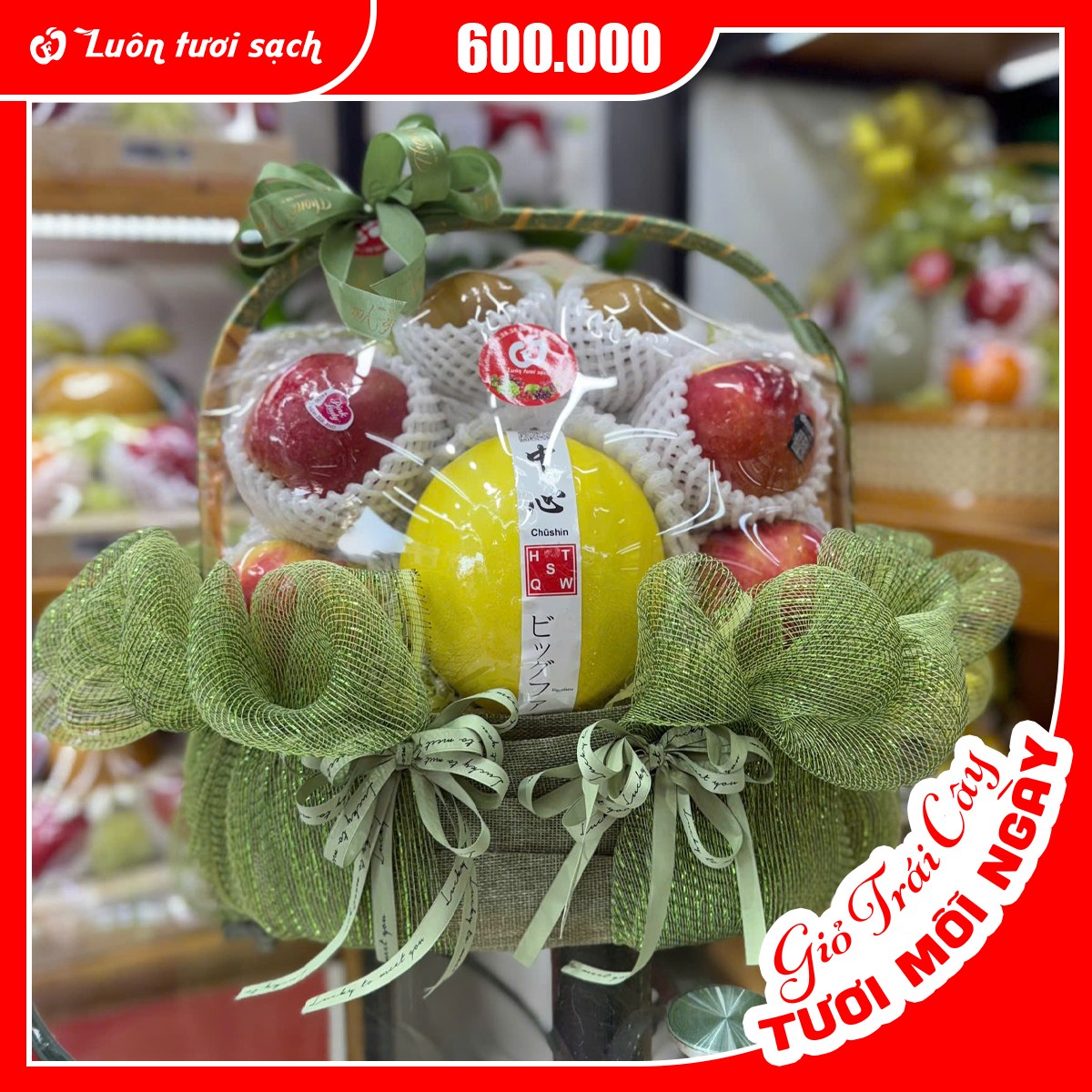 TC35 - Giỏ quà hoa quả nhập khẩu