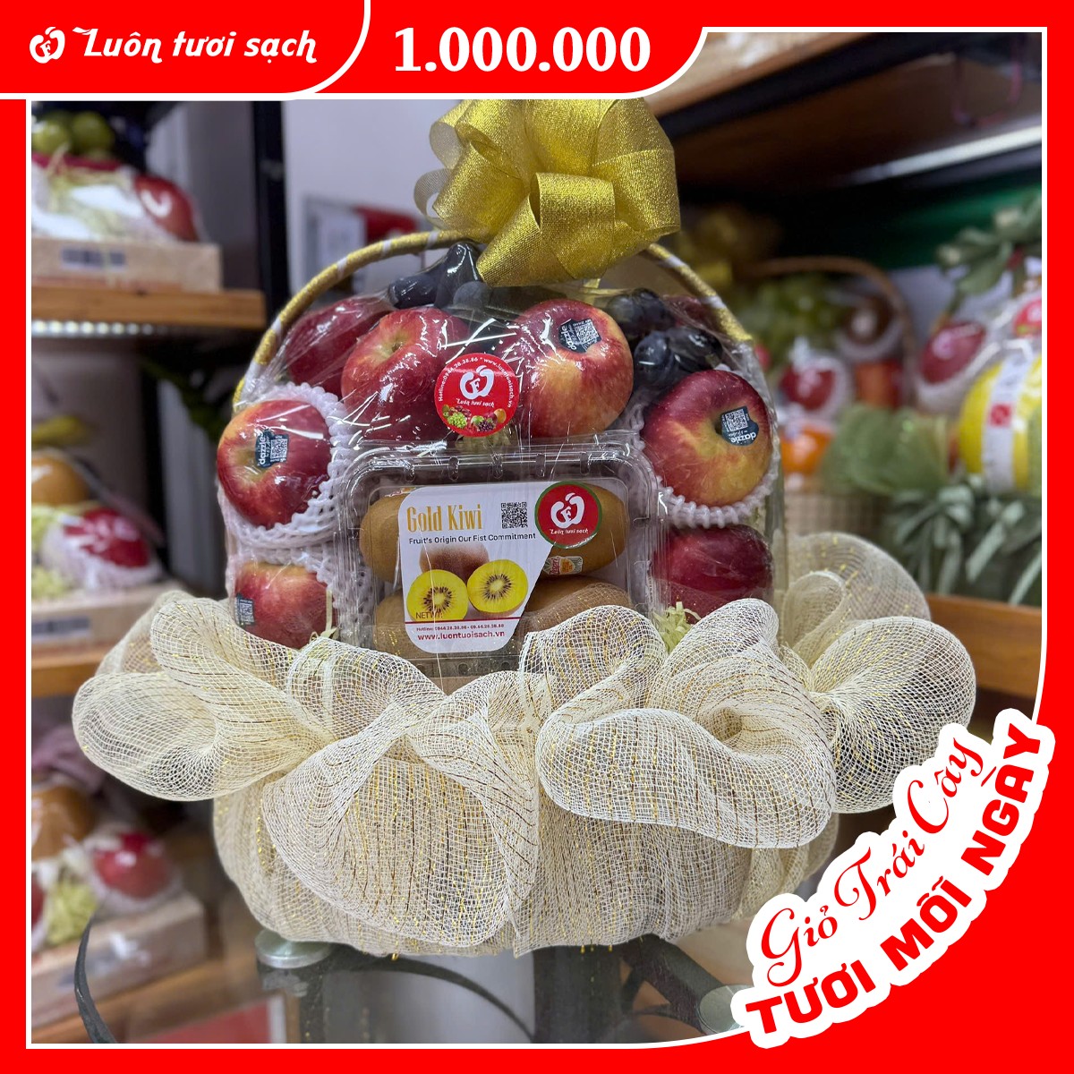 TC54 - Giỏ quà hoa quả nhập khẩu