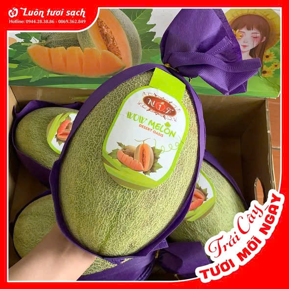 Dưa Melon