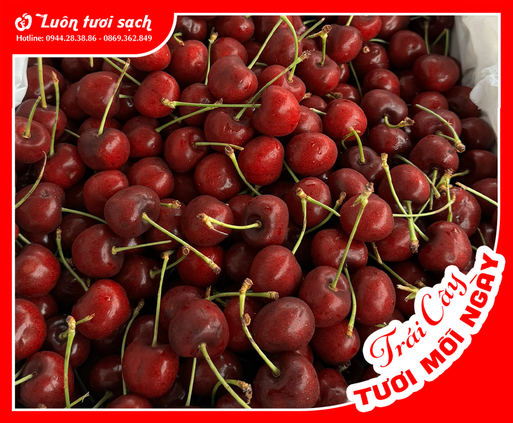 Cherry Mỹ Skeeena sz 9