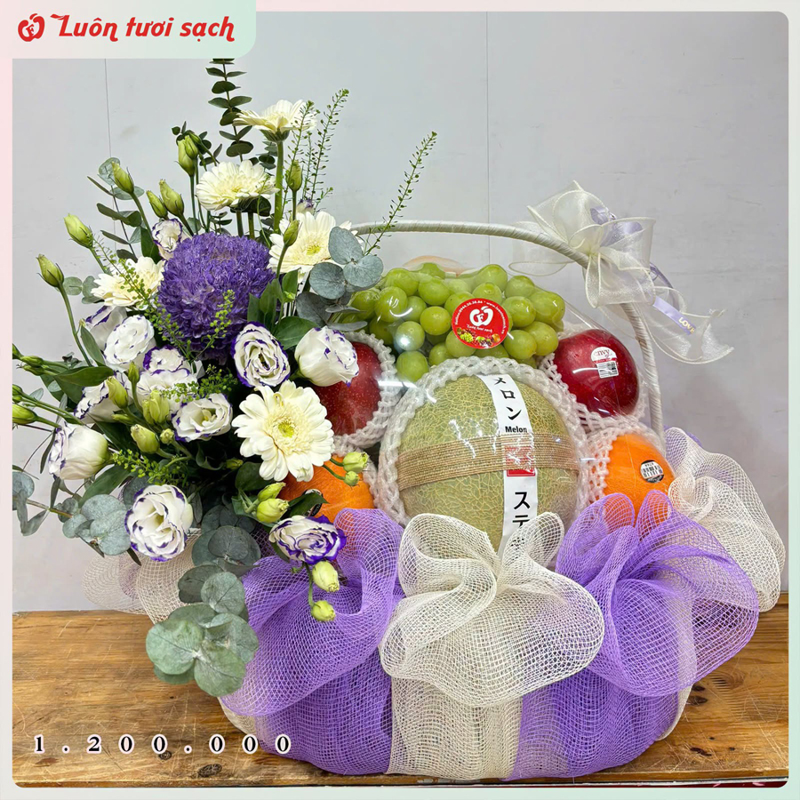 TC08 - Lẵng hoa quả cao cấp