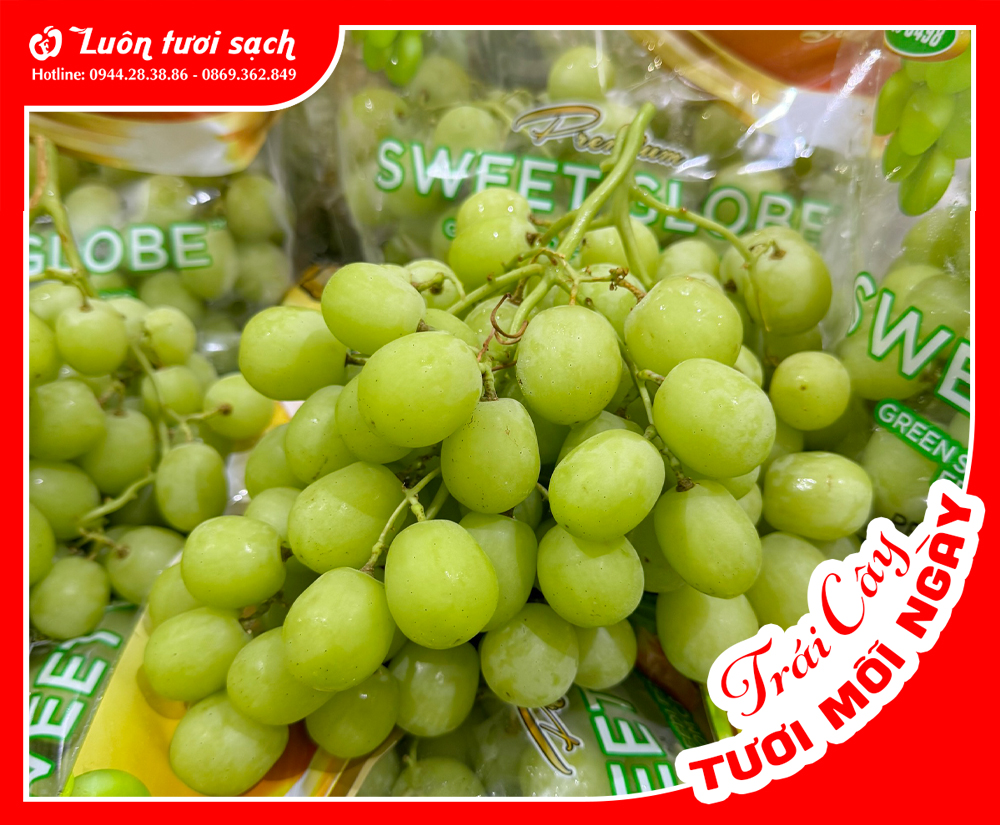 Nho xanh Sweet Global Mỹ